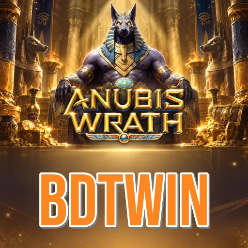 How to Update bdtwin
